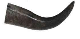 Peaksnpaws 759170116225 Premium Free Range And Grass Fed Buffalo Horns - Large