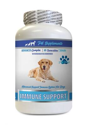 Pet Supplements 300873057539 Immune Support Formula - Dog Burdock Root Capsules 1 Bottle