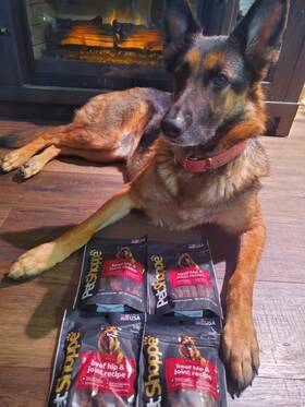 Petshoppe 195602025640 1 Lb Premium Beef Dog Treats Hip And Joint Support 4oz Bags No Wheat Soy