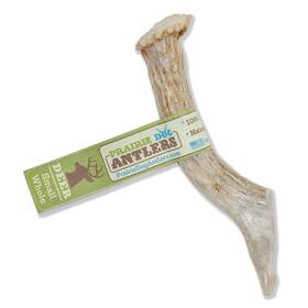 Prairie Dog Pet Products 844232042632 Antlers North American Whole Deer Antler Small Naturally Sh
