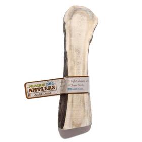 Prairie Dog Pet Products 844232042809 Antlers North American Split Moose Antler Medium Naturally