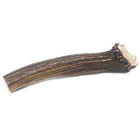Prairie Dog Pet Products 844232044315 Antlers North American Whole Deer Antler Mega Naturally Shed