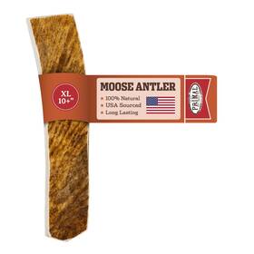 Primal Pet Foods 850016300706 Antlers For Dogs Grade A Split Moose Large Canines 45-60 L