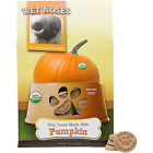 Pump2 Wet Noses Pumpkin Organic Dog Treat 850201000251