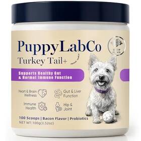 B0ggrnlv27 Puppy Lab Co Turkey Tail Mushroom Powder Gut And Immune Support For Dogs