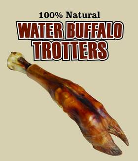 3401 Qt Dog Quart Water Buffalo Trotter - Long-lasting 100% Natural 1 Count Pack Of
