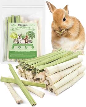 Rabbit Chew Toys 445046240202 Bissap 40pcs Sticks 20pcs Sweet Bamboo And Papaya S