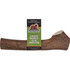 260103 Redbarn Large Whole Elk Antler Dog Chew 785184200117