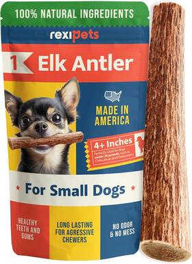 Rexipets 744110242140 100% Natural - Antlers For Dogs Naturally Shed In Usa Grade A Long Lasting C Rexipets 744110242140 100% Natural - Antlers For Dogs Naturally Shed In Usa Grade A Long Lasting C