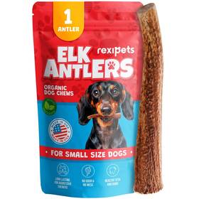 Rexipets 850022943836 Elk Antler For Small Dogs - Grade A Long Lasting Chew Aggressive Chewers Rexipets 850022943836 Elk Antler For Small Dogs - Grade A Long Lasting Chew Aggressive Chewers