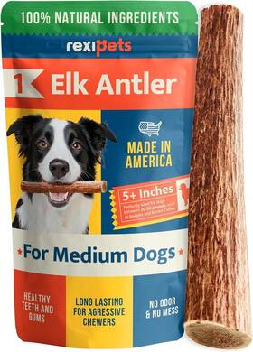 Rexipets 850022943843 100% Natural Elk Antlers For Dogs Naturally Shed Medium Breeds 1 M Rexipets 850022943843 100% Natural Elk Antlers For Dogs Naturally Shed Medium Breeds 1 M