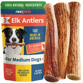 Rexipets 850022943904 100% Natural - Elk Antlers For Dogs 3 Pack Chewers Naturally Shed In Us