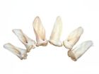 Rqle-jef Smokehouse Lamb Ears All Natural Free Range Treats Dog Chews