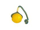 Smffbrm Starmark Fantastic Foam Ball On Rope Dog 873199001109