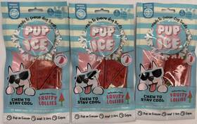 Spot 077234072431 3pk Pup Ice Ready Freeze Fruity Lollies Dog Treats Watermelon Exp 6/27 New