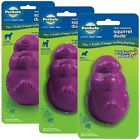 Squirreldude-1 Premier Squirrel Dude Size 759023067209