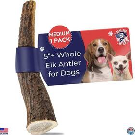 B01j6jur94 Stanley Medium Elk Antlers For Dogs 5 Inch Grade A Long Lasting Chew Usa Naturally Shed