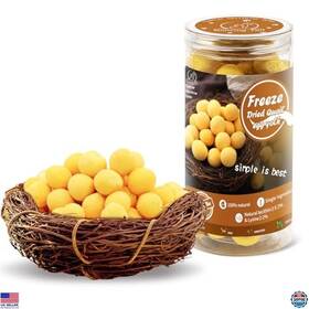 B0cgt59yxd Stanley Freeze Dried Quail Egg Yolk Treats For Cats And Dogs Healthy Training Snacks