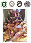 Tdc1100pe Top Dog Chews Pig Ears For Dogs Pack Made In