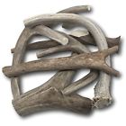 Tdcantler1lb Top Dog Chews Premium 854671004870