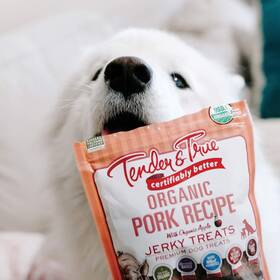 Tender True 818575020459 10 And Dog Treats Organic Pork Recipe Premium Jerky