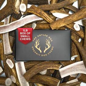 The Antler Box 313049146128 Premium Elk Dog Chews 1 Pound Small 7-8 Pieces Wh