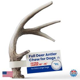 B0d6qs7kl4 The Proper Hound Extra Large Whole Deer Antler For Dogs Long Lasting - Humane