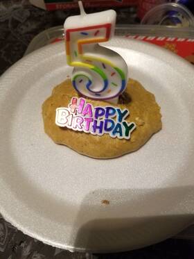 Pt-55594-012-502 Thoughtfully Dog Birthday Peanut Butter Cake And Topper