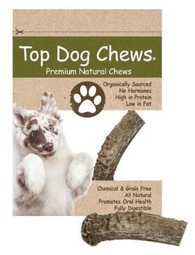 Top Dog Chews 854671004832 Elk Antler Treat- Small - 1 Piece