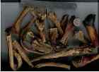 Ugly-12 Haneys Bully Stick Pieces Pounds
