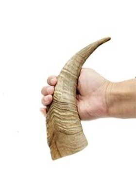 Ummp Llc. 703856895713 Herders Choice Chews Dried Goat Horns Medium 2 Pcs