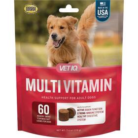183170 Vetiq 7.4 Oz. Multi Vitamin Dog Chew 60-pack