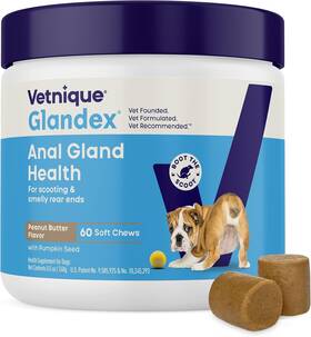 015vl-gx44980 Vetnique Glandex Anal Gland Soft Chew Treats With Pumpkin For Dogs Digestive Enz