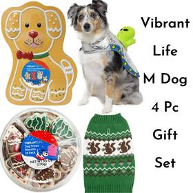 Vibrant Life 194346264452 Medium Dog 4 Piece Holiday Seasonal Treat And Apparel Gift Set