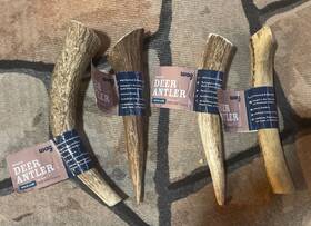 W10171157 Wag Deer Antler Chew For Dogs Naturally Shed Whole Medium 4 / 6 - 7.5 Inches
