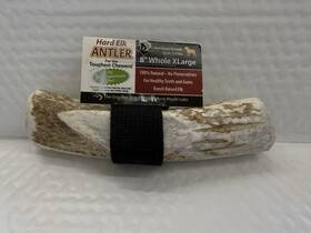 B2908 Wapiti Labs Whole Elk Antler Extra Large 8 Inch X 1-1/2 Diameter