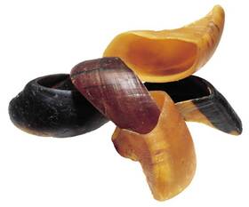 50h001 Washnwag 4 Inch Cow Hooves