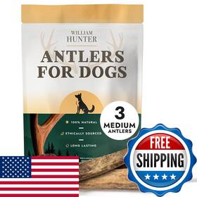 B0flf1wvnh William Hunter Naturally Shed Deer Antler For Dogs - Long Lasting Dog