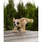 Ym700301abcd Unbranded Potty Time Dog Statue Chihuahua Figurine Indoor 689280676473
