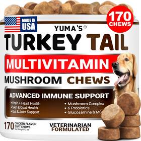 69e966c742118e000819815d Yuma S Turkey Tail Mushroom For Dogs 170 Count Chews Lipoma Lumps And
