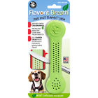 Zflb2 Pet Qwerks Flavorit Nylon Mint Large 890035005084