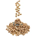 Dog Rawhide Knot Bones Small Mini Chews Chicken Flavour 2.5 Inc.... Fixed Price $43.72.
