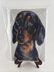 Stupell Industries Wiener Puppy Dog Dachshund Wall Plaque Art Watercolor Sign. Fixed Price $29.99.