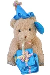Marshall Field Sweet Spot Celebration Bear Plush 2005 W/ Hat & Gift Bag Nwt. Fixed Price $24.99.