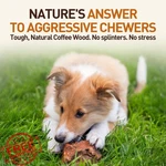 Wildfang Briar Wood Chew Toy Medium 33-55LBS Splinter Free. Fixed Price $27.99.