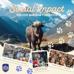Himalayan Yak Cheese Dog Chew 3 Small Sticks, Gluten-free & Natural Treats. Fixed Price $19.49.