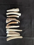 10 Pack Small *cheap* Whitetail Deer Antler Dog Grade *best Value*chews. Fixed Price $30.00.