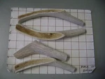 4 6-9" Deer & Elk Antlers For Dog Chews, Organic Minerals, Pet Chew, Lot D1. Fixed Price $12.75.