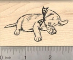 Valentine's Day Puppy Dog Napping, Labrador Retriever J20122 Wm. Fixed Price $21.00.