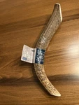 Amazon Brand Wag Elk Antler Whole X-large, 11 Inches. Fixed Price $15.99.